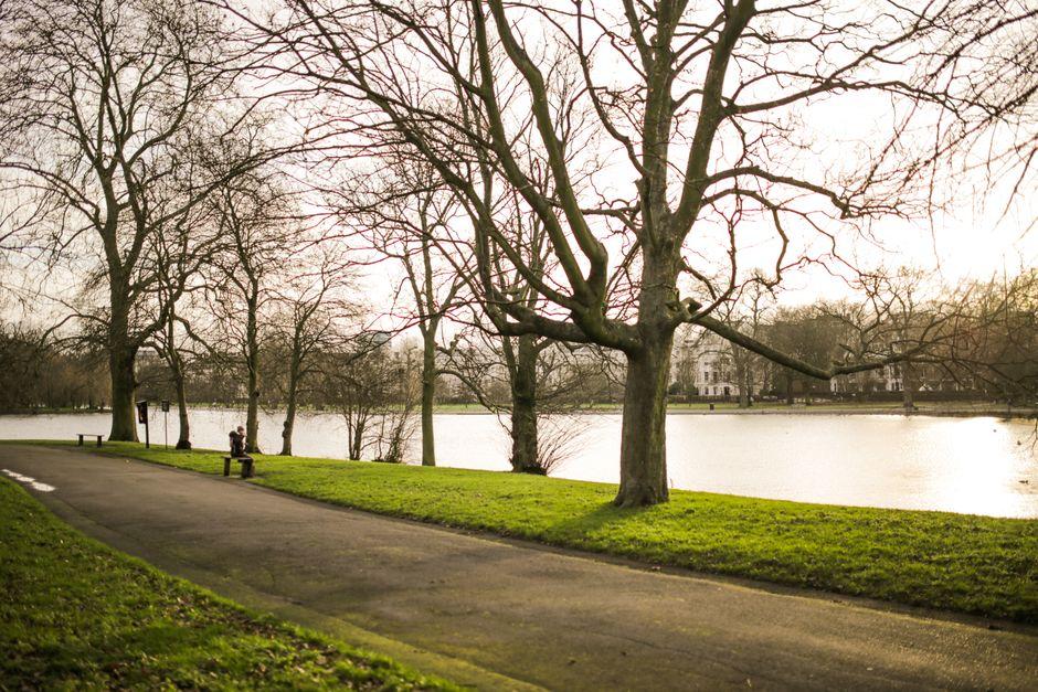 Empty Road with Trees at the Side near Lake during Daytime